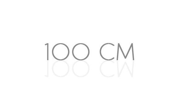 100 cm
